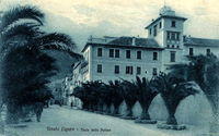 Il viale delle Palme nel 1928
