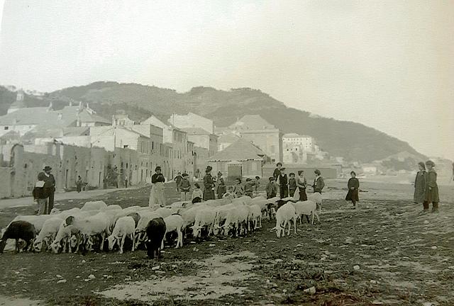 Bella immagine bucolica della spiaggia di ponente di Finale