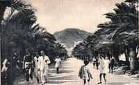 Il viale nel 1930