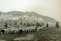 Bella immagine bucolica della spiaggia di ponente di Finale