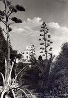Castelletto Agave